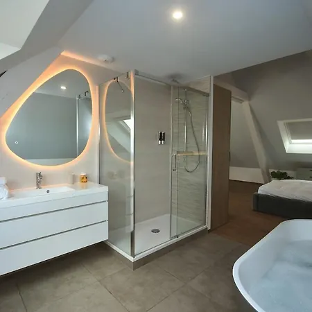 Up, Proche Basel, Loft Sous Combles & Vue 公寓 *