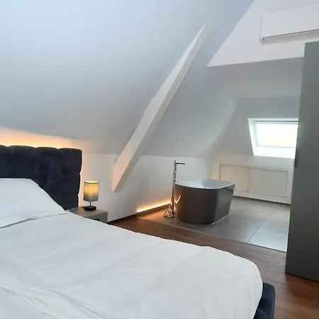 Up, Proche Basel, Loft Sous Combles & Vue